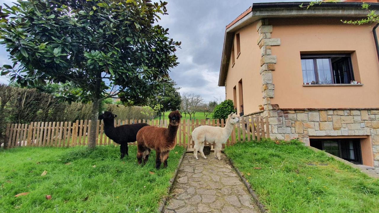 Hotel 3 Alpacas Ла-Кампа Экстерьер фото